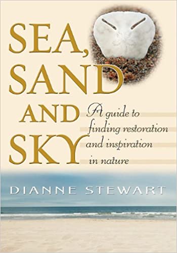 sea-sand-and-sky-a-guide-to-finding-restoration-and-inspiration-in-nature
