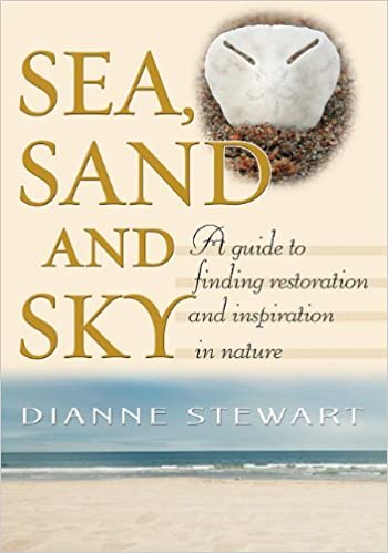 sea-sand-and-sky-a-guide-to-finding-restoration-and-inspiration-in-nature